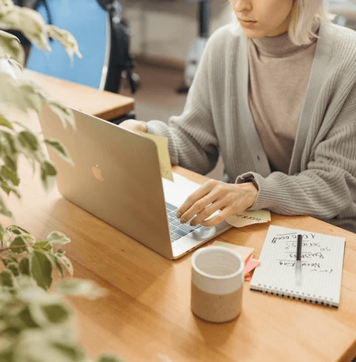 Safe Finvics ilustrația echipei de suport